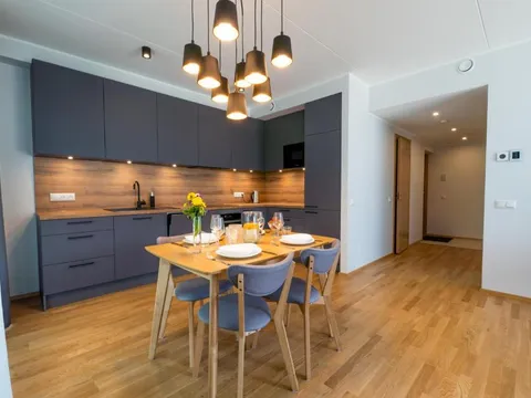 Delta Luxury Apartment