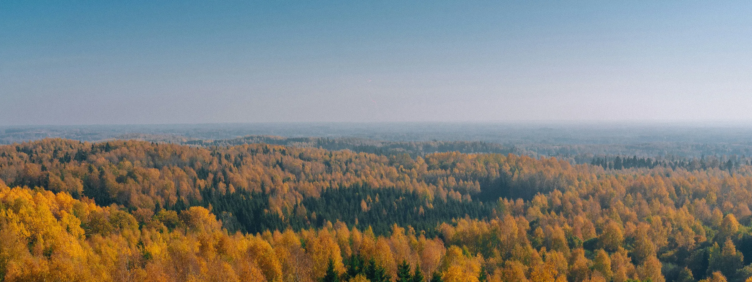Lõuna-Eesti